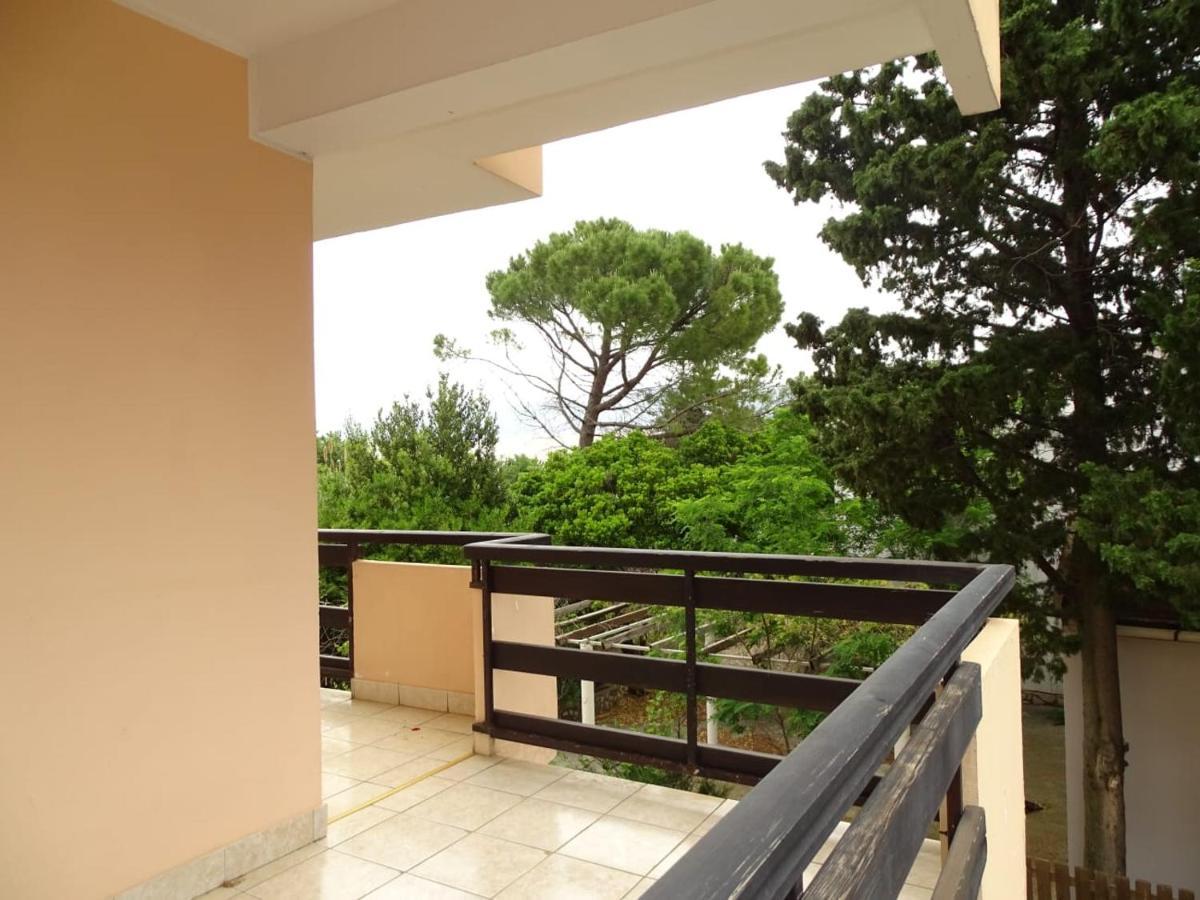 Zana Apartments Stan Trigraci المظهر الخارجي الصورة